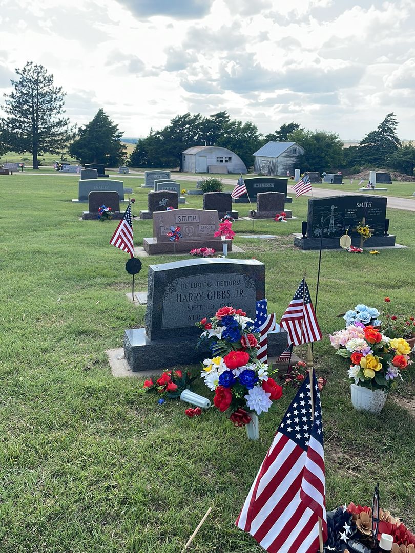 Harry Gibbs Junior's grave. Photo 1