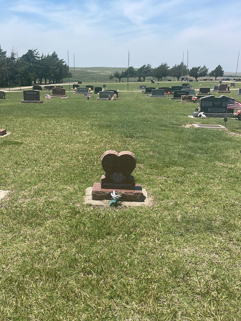 Jerome Jay Jarnagin's grave. Photo 1