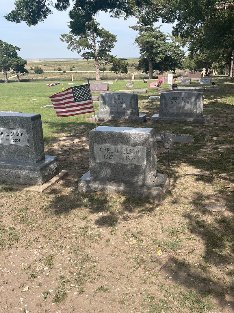 Carl Wilson Olson's grave. Photo 1