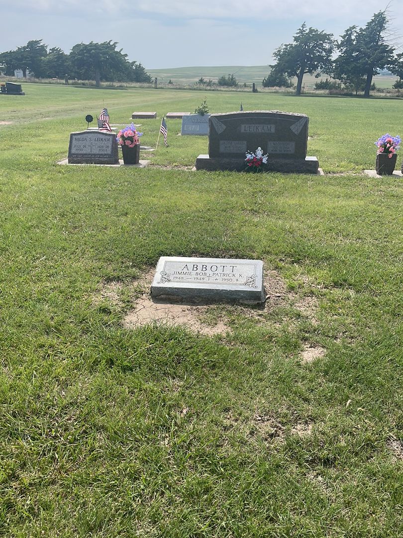 Patrick K. Abbott's grave. Photo 1