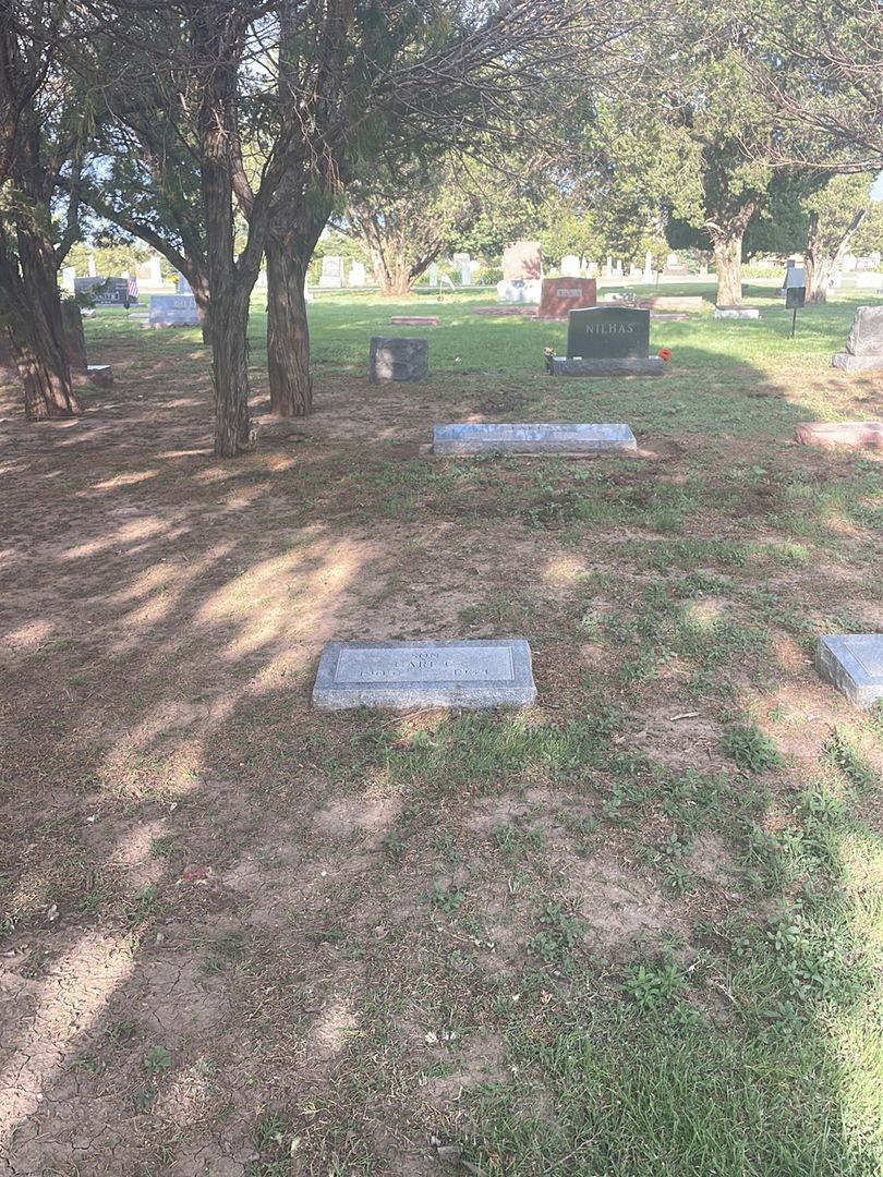 Carl C. Adams's grave. Photo 1