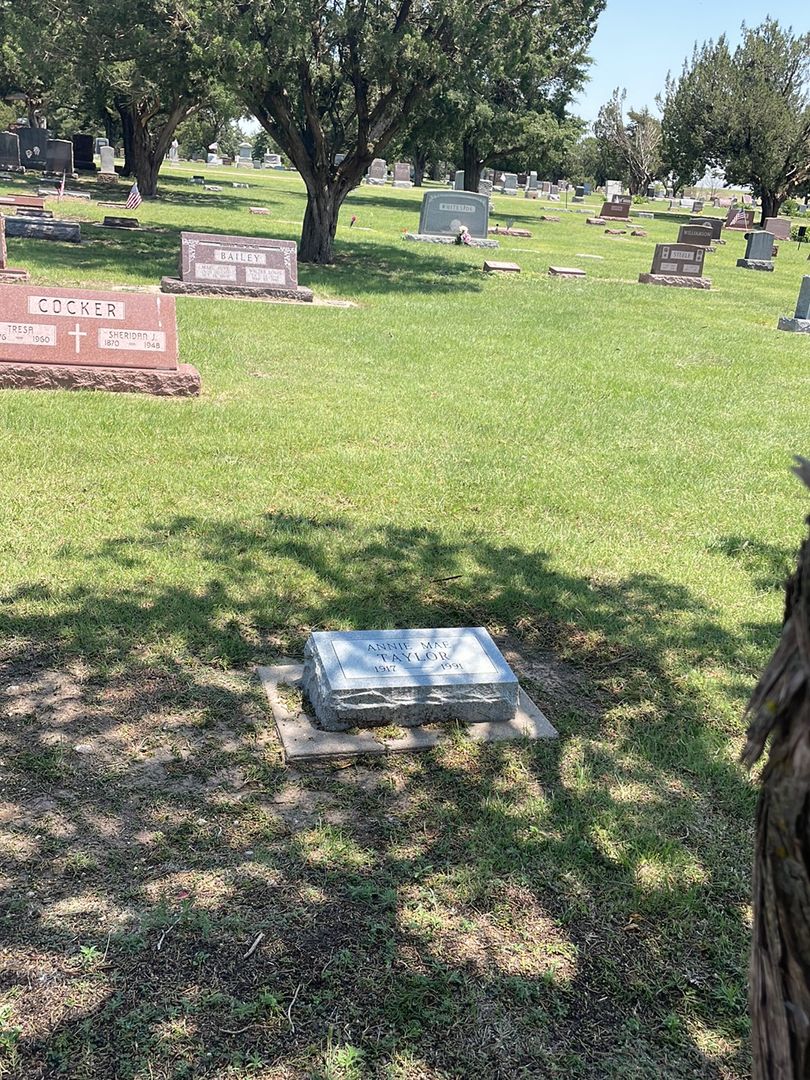 Annie Mae Taylor's grave. Photo 1