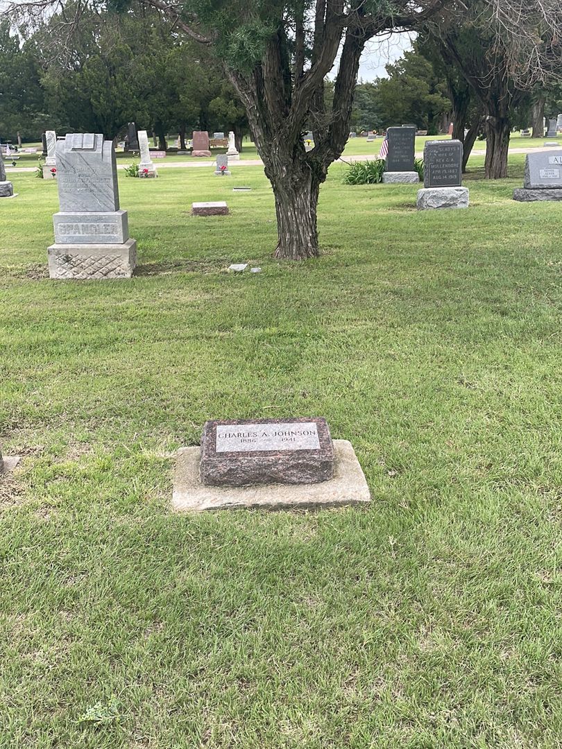 Charles A. Johnson's grave. Photo 1