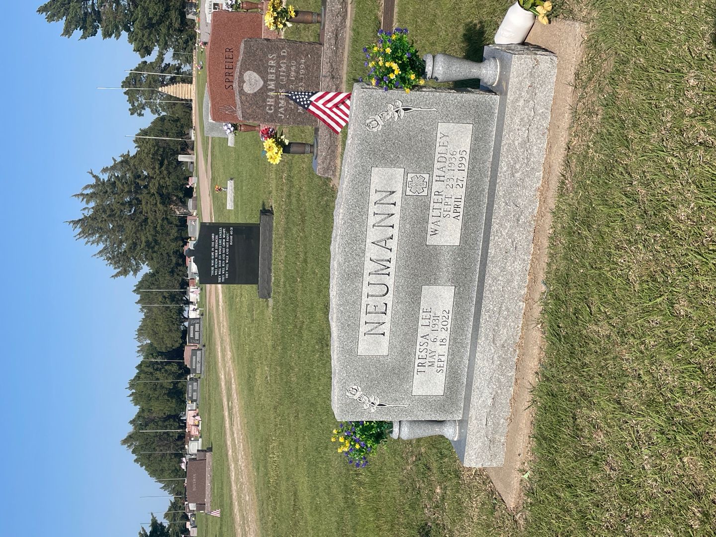 Tressa Lee Neumann's grave. Photo 1