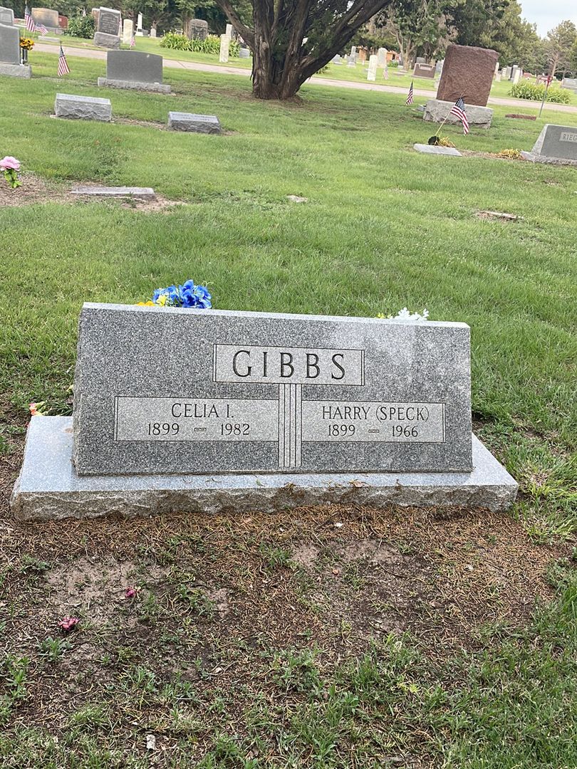 Celia I. Gibbs's grave. Photo 1